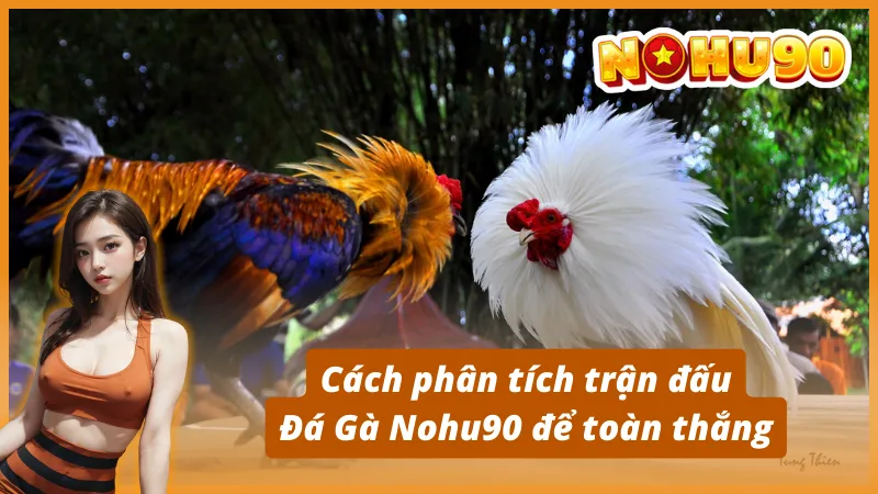 Cách phân tích trận đấu Đá Gà để toàn thắng
