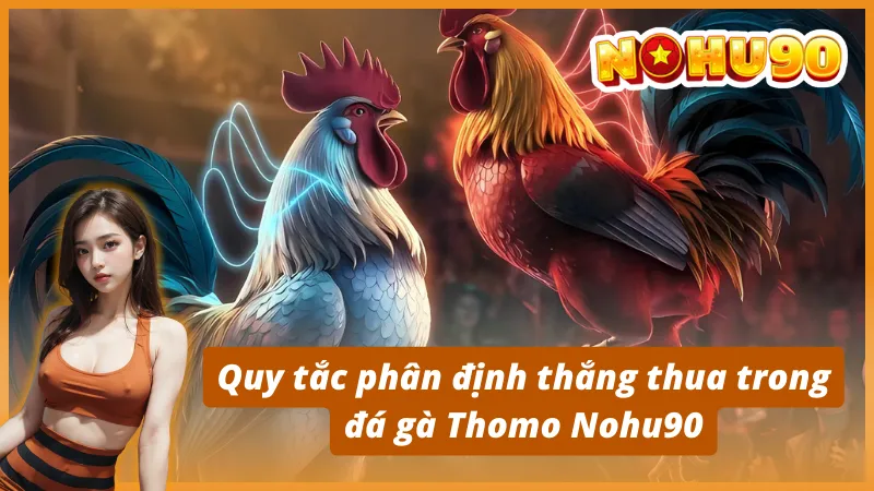 Luật chơi cá cược đá gà Thomo Nohu90 cơ bản