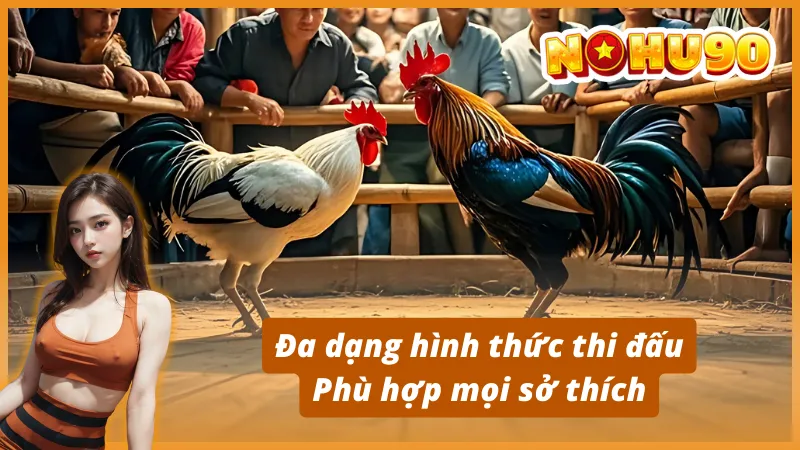 Sức hút Đá gà Thomo Nohu90 so với các cổng game khác