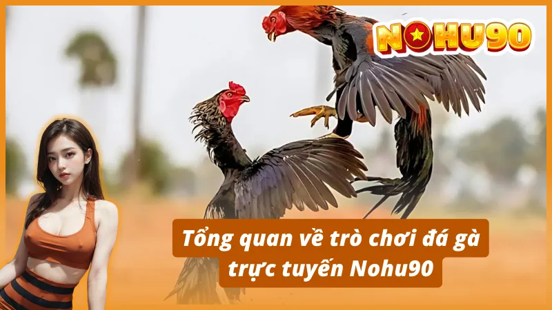 Tổng quan về trò chơi đá gà trực tuyến Nohu90