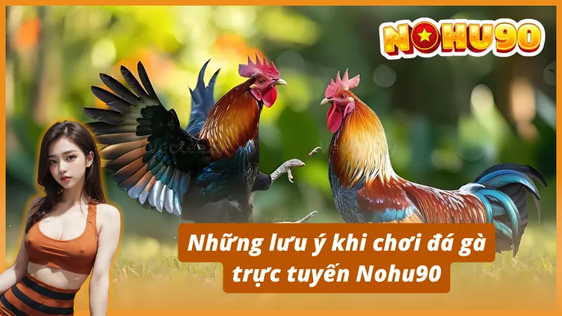 Những lưu ý khi chơi đá gà trực tuyến Nohu90