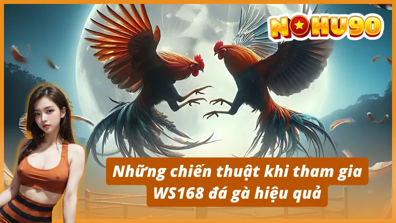 Những chiến thuật khi tham gia WS168 đá gà hiệu quả